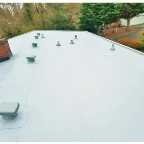 imgi_80_6cef01fe-0458-47c0-bb71-31fc48cd2d09